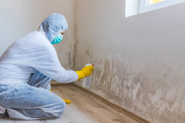 Hvac And Air Duct Mold Remediation inspection of HVAC system in Wingate