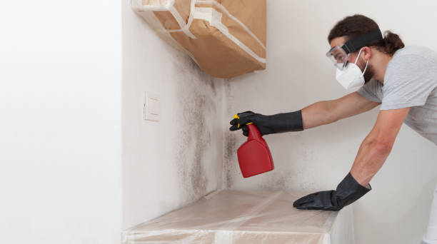 Attic Mold Remediation treatment on roof deck in Wingate